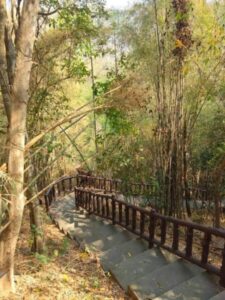 ChalongTransport Travel.com รถเช่าพร้อมคนขับ 15