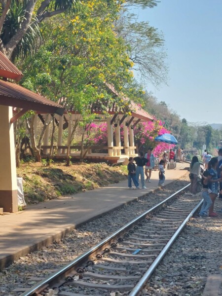 ChalongTransport-Travel.com รถเช่าพร้อมคนขับ (3)