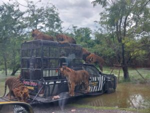 ChalongTransport-Travel.com บริการรถเช่าพร้อมคนขับ รถตู้เช่าพร้อมคนขับ แบบครบวงจร 53 ChalongTransport Travel.com รถเช่าพร้อมคนขับ 89